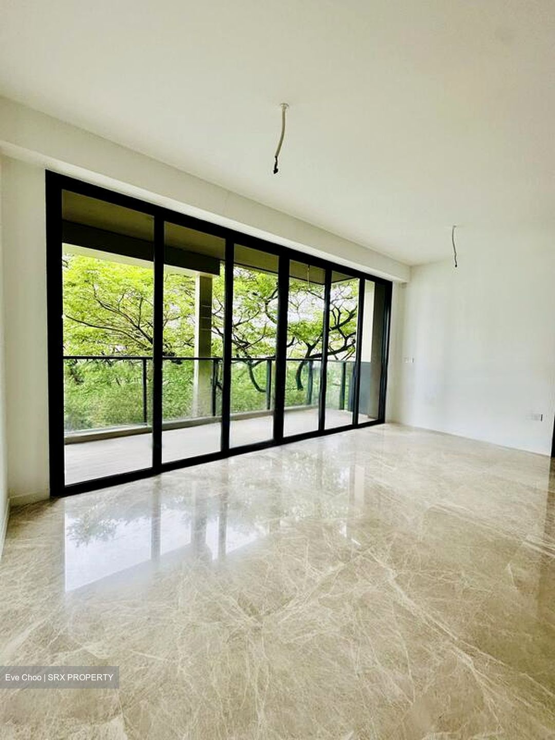 Irwell Hill Residences (D9), Apartment #467601821